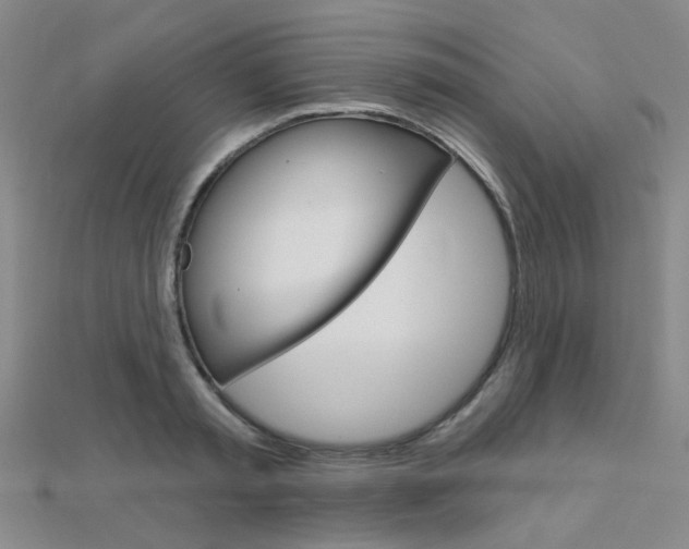 X0000112160797200908070937