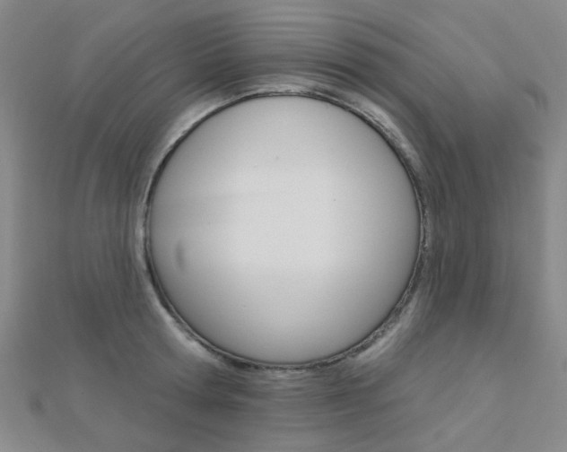 X0000112160802200908070937