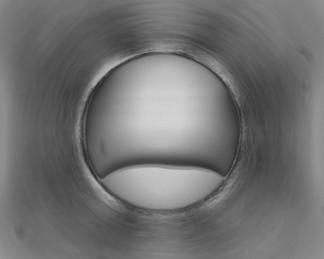 X0000112160803200908070937