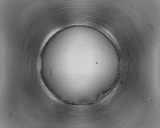 X0000112160804200908070937