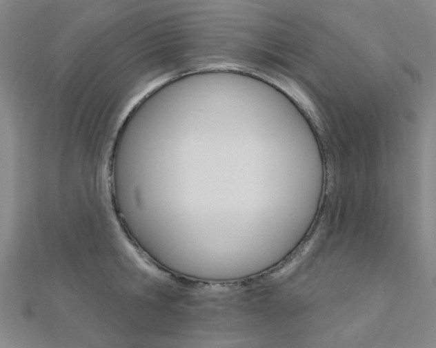 X0000112160806200908070937