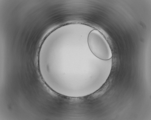 X0000112160807200908070937