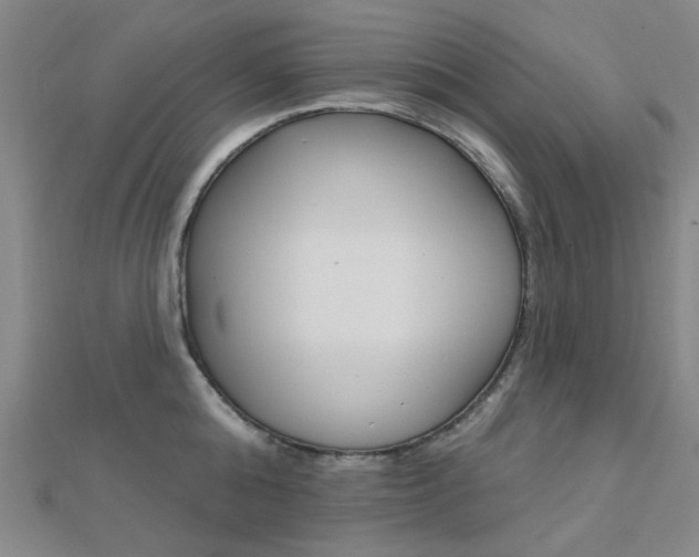 X0000112160808200908070937