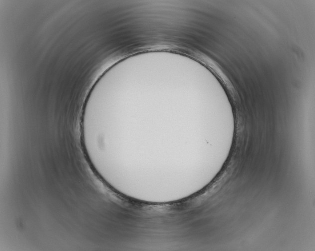 X0000112160810200908070937