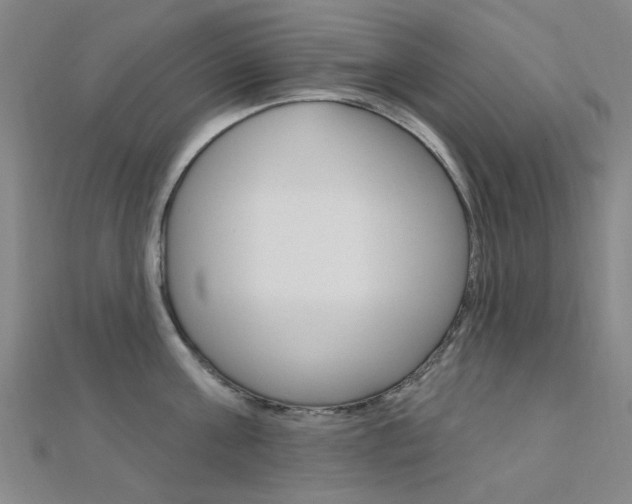X0000112160811200908070937