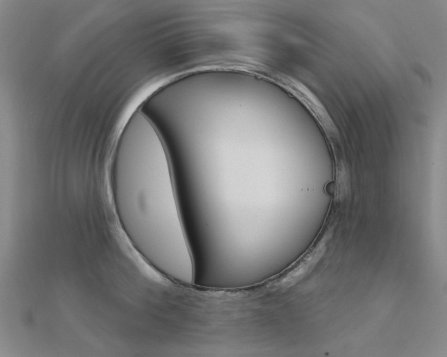 X0000112160812200908070937