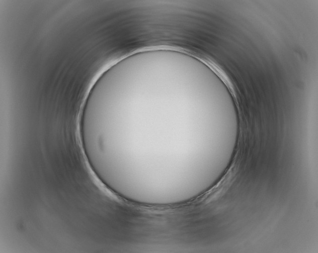 X0000112160813200908070937