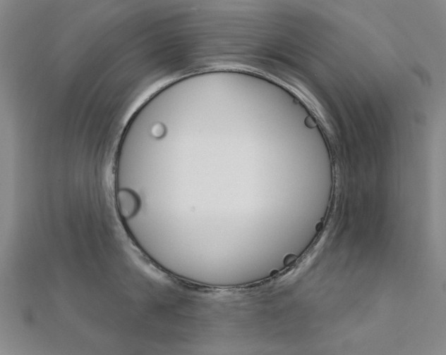 X0000112160814200908070937