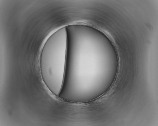 X0000112160816200908070937
