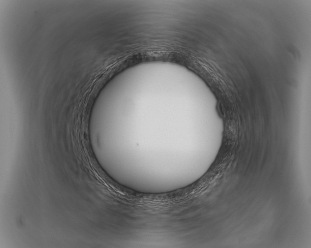 X0000112160817200908070936