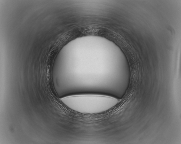 X0000112160818200908070936