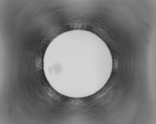 X0000112160820200908070936