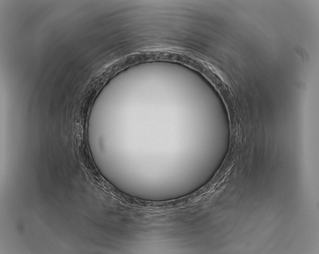 X0000112160821200908070936