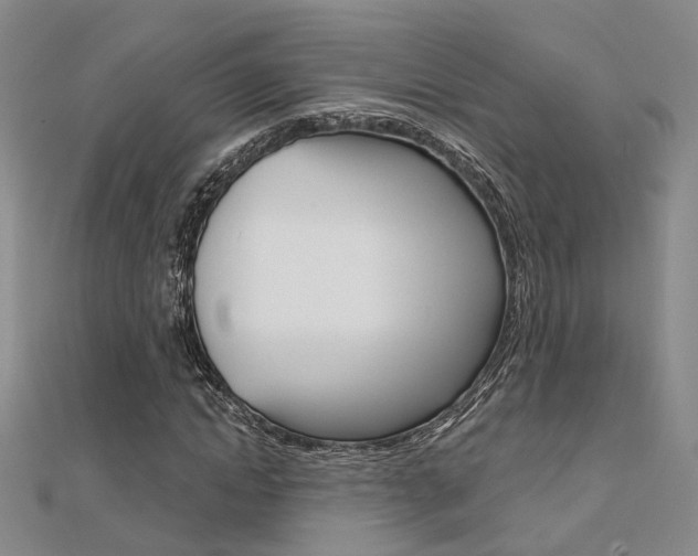 X0000112160822200908070936