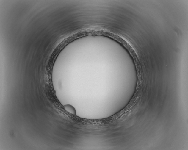 X0000112160823200908070936