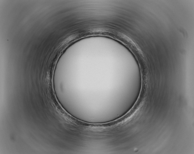 X0000112160825200908070936