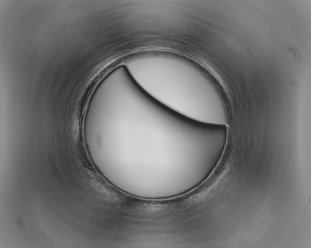 X0000112160829200908070937