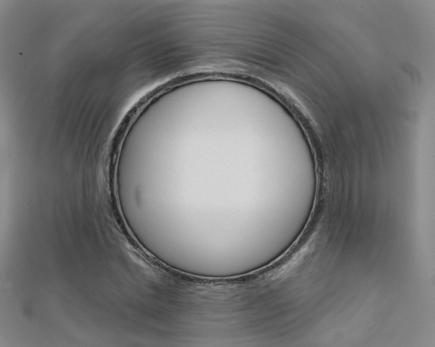 X0000112160830200908070937