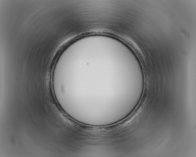 X0000112160831200908070937