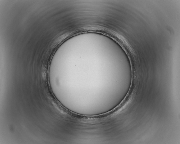 X0000112160833200908070937