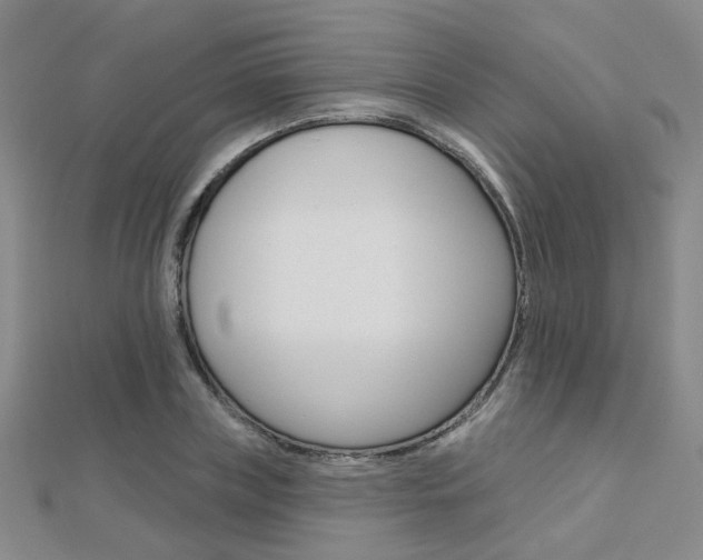 X0000112160835200908070937