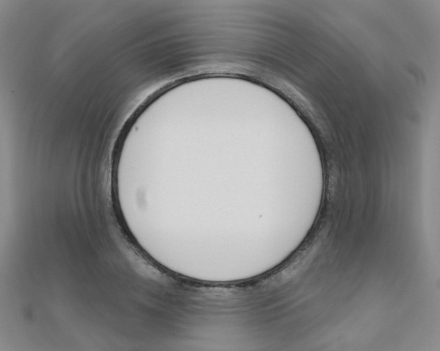 X0000112160836200908070937