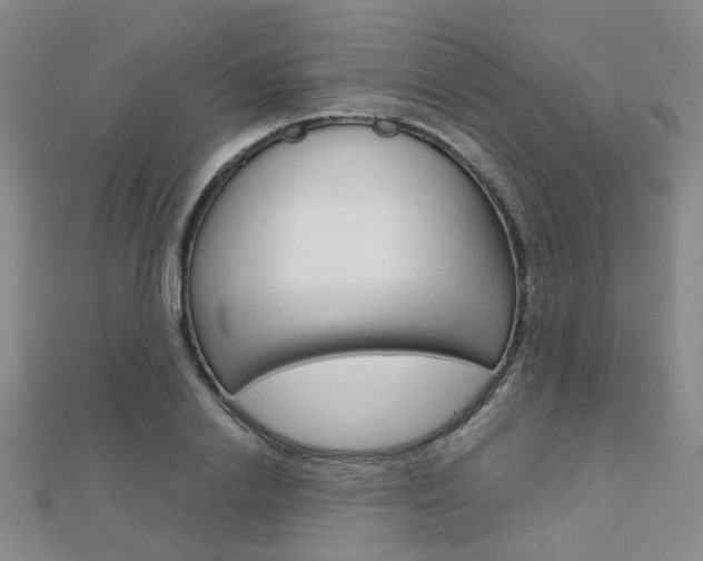 X0000112160838200908070937