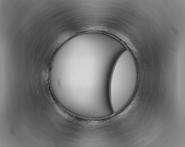 X0000112160841200908070937