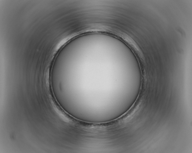 X0000112160842200908070937
