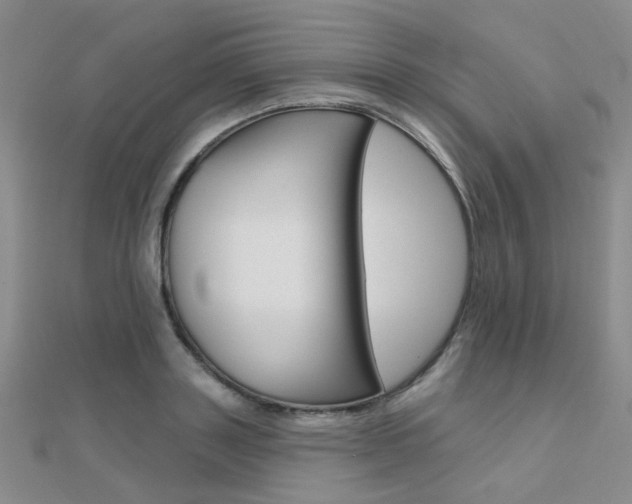 X0000112160843200908070937