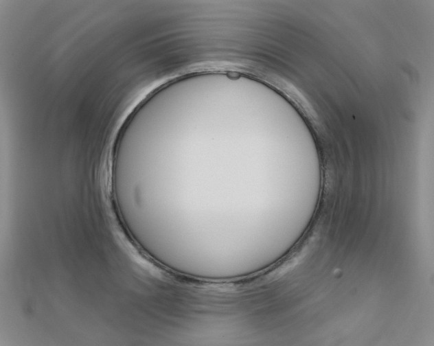 X0000112160844200908070937