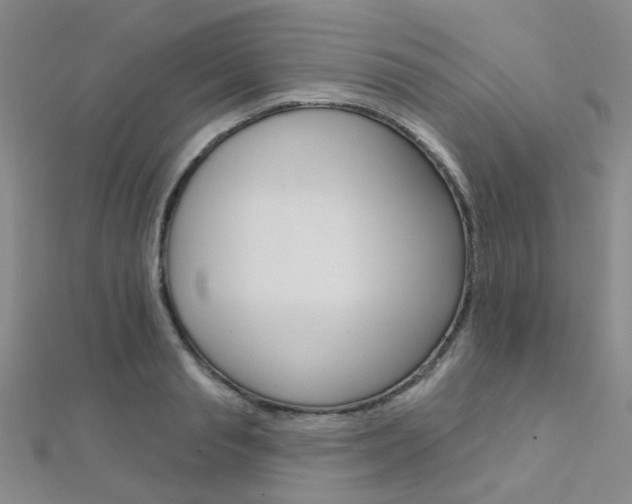 X0000112160845200908070937