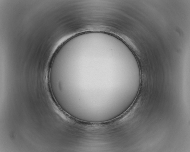 X0000112160846200908070937