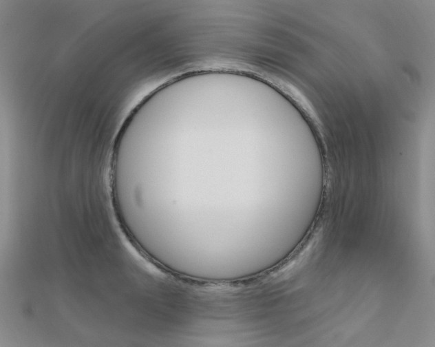 X0000112160847200908070937