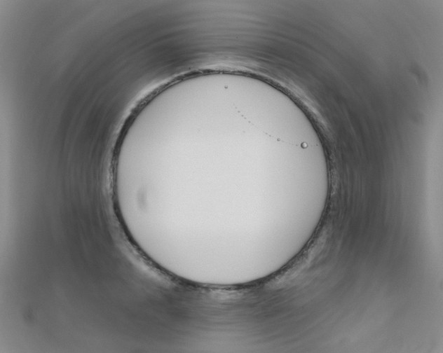 X0000112160848200908070937