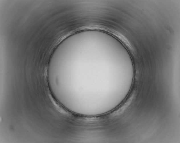 X0000112160849200908070937