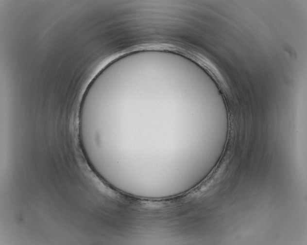 X0000112160852200908070937