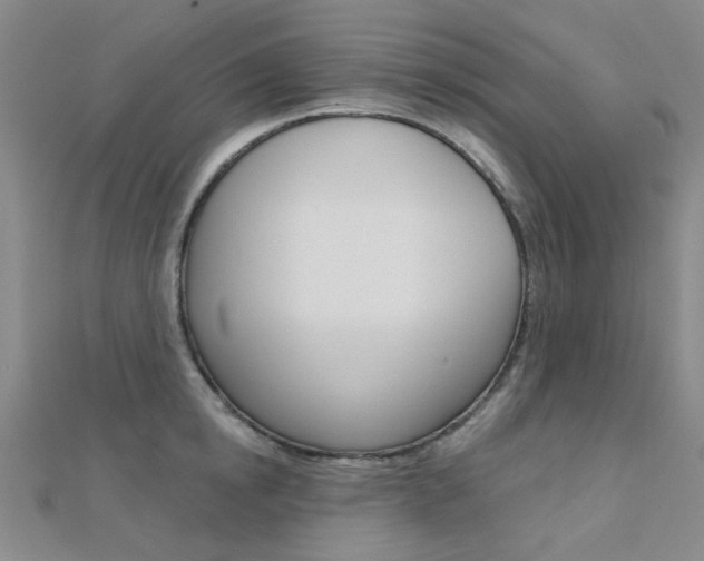 X0000112160854200908070937