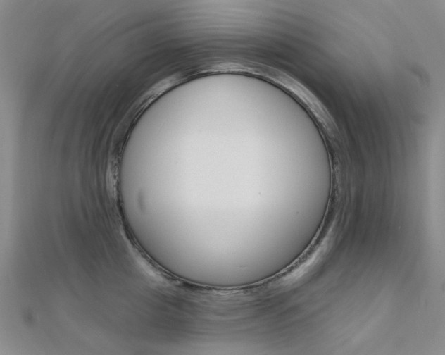 X0000112160857200908070937