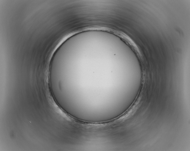 X0000112160860200908070937