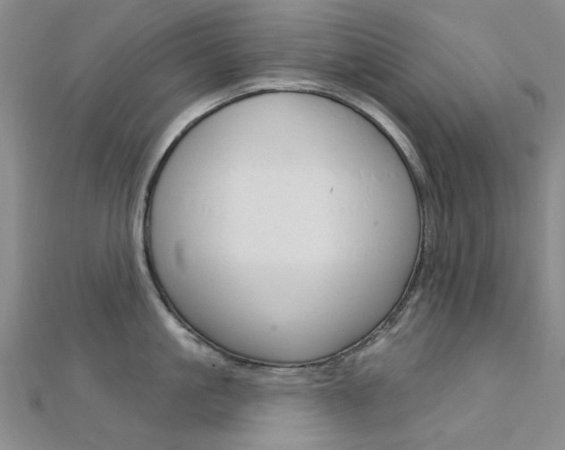 X0000112160861200908070937