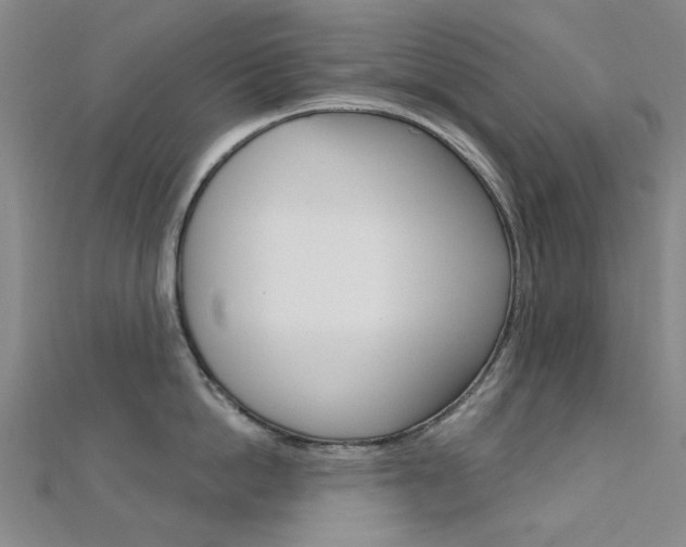 X0000112160862200908070937