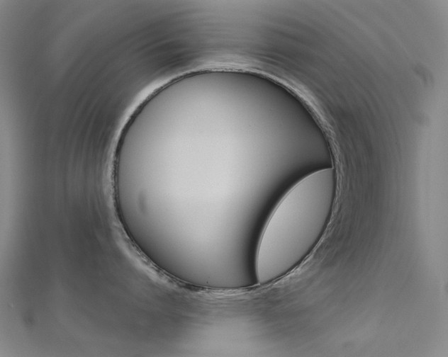X0000112160864200908070937