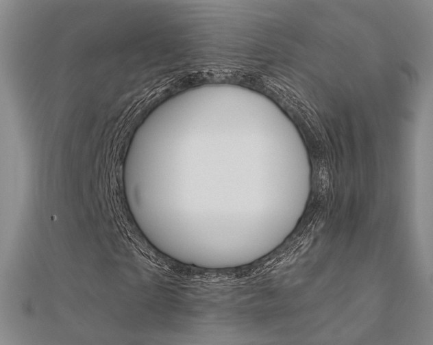 X0000112160865200908070936