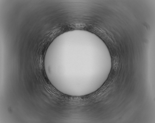 X0000112160866200908070936