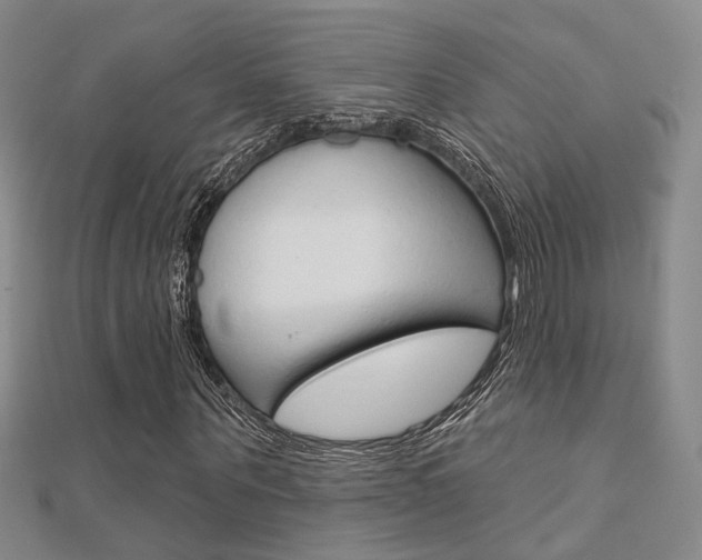 X0000112160867200908070936