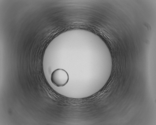 X0000112160868200908070936