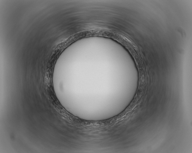 X0000112160869200908070936