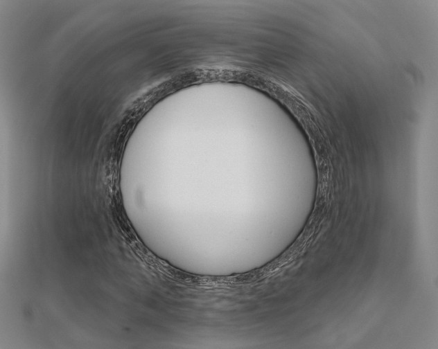 X0000112160870200908070936