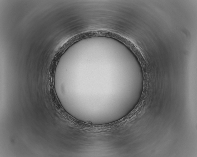 X0000112160871200908070936
